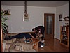 DSCF0106.JPG